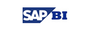 SAP BI Consulting