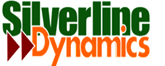 Business Intelligence Consulting Services for Silver Dynamics