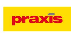 Praxis Consulting Services